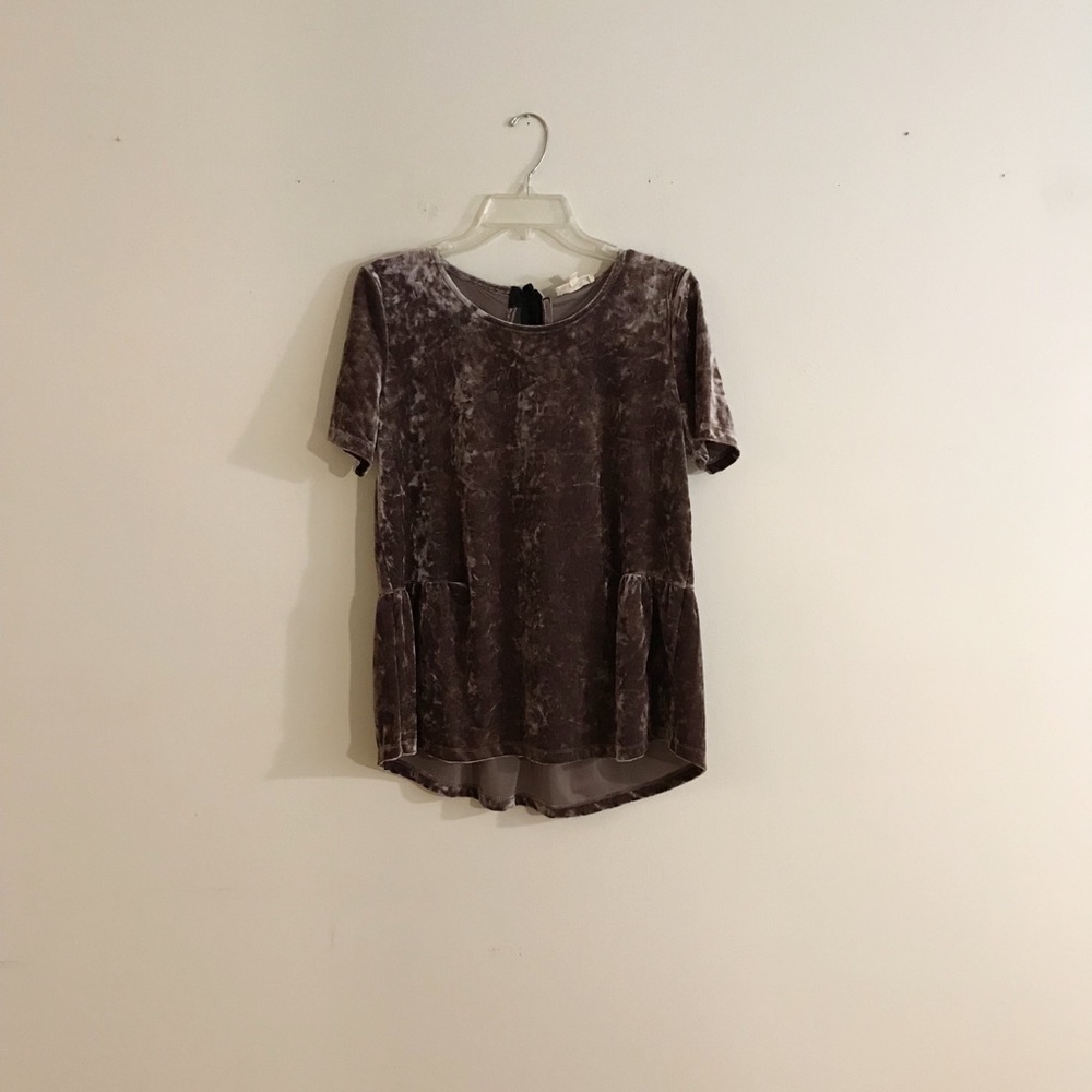 Pleione velvet top.